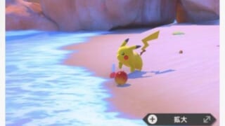 New ポケモンスナップの楽しみ方 狙ってる年齢層ってコレだよなｗ ゲームまとめ速報